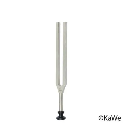 KaWe tuning fork for ear doctors according to Lucae c1 256 Hz