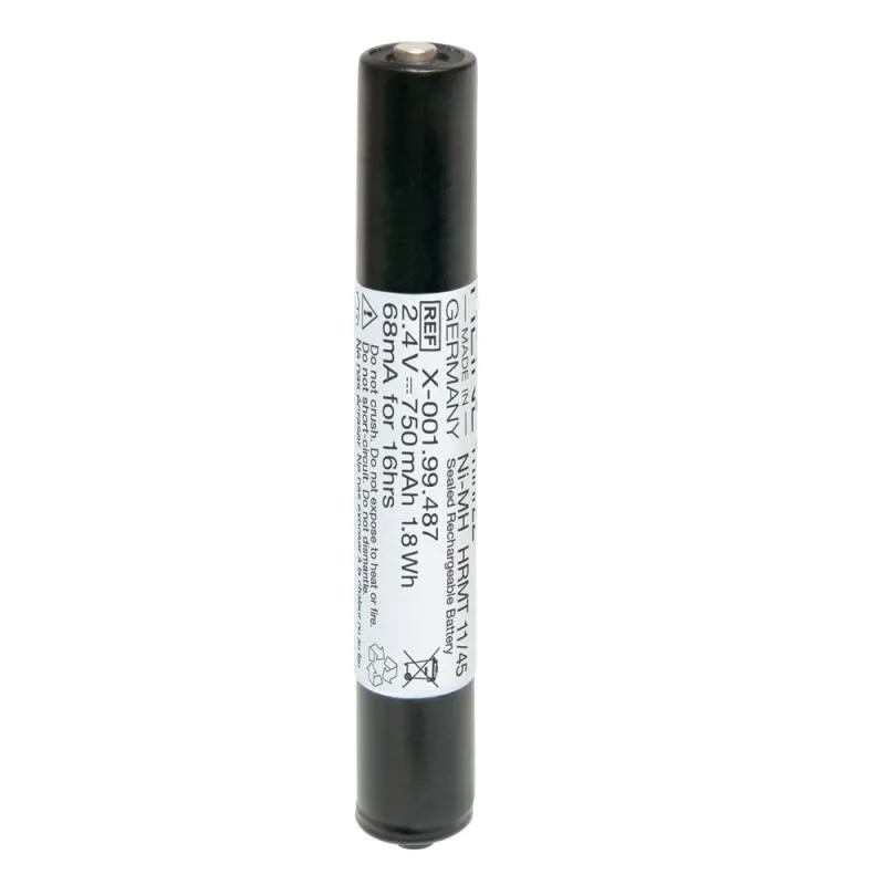 Heine Ladebatterie für mini NT Ladeset